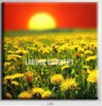 /album/photo-gallery-canvas-uri/decoratiuni-de-perete-canvas-lc-1261-jpg/